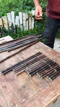 Crafting a Traditional Musical Instrument | Intangible Cultural Heritage & Rural Life