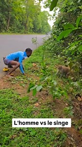 Combat de l'homme contre le singe | Bendjiprod Télévision