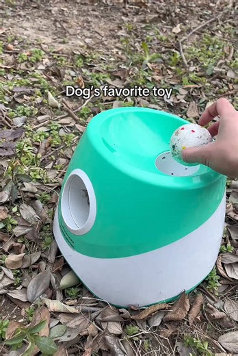 The automatic ball launcher is a fun and great toy for every dog!#dog #dogtoy #automaticballlauncher #funnydog #ball