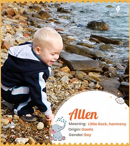 Allen Name Meaning, History, And Variations: Comprehensive Guide