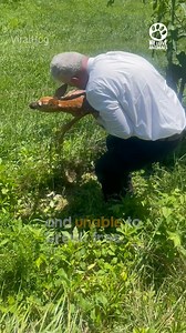 840K views · 10K reactions | Thank you, kind sir! | We Love Animals | Facebook