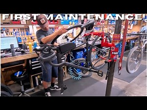 First Bike Service – Trek Domane AL 2 Gen 4 Road Bike