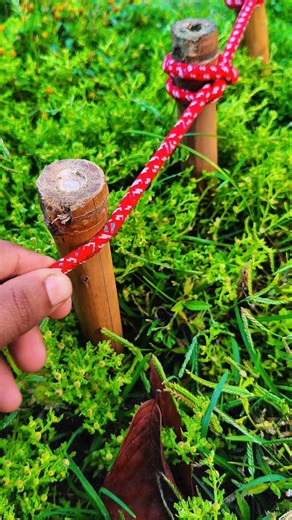 The Most Reliable Rope Knot for Outdoor Survival! 🪢