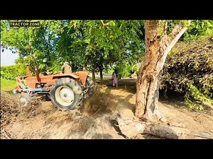 AL GHAZI Hamad bhi k ghazi 65 Power Lagata Hoye Good Tractor