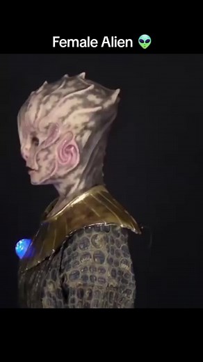 Happy Halloween on TikTok