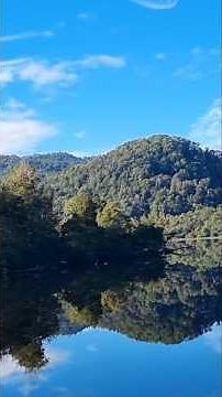 Remembering Roxy Music - Avalon. And checking out the incredible Gordon River in Tasmania's West.