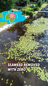 1.9K views | We are landscapers for YOUR lake! Give us a call or text to get on our 2025 list! #seaweedremoval #lake #lakelife #pond #lilypad | J&D Lake Services | Facebook