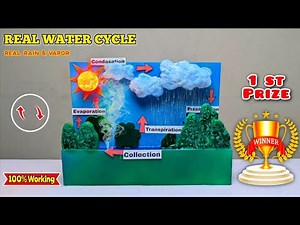 This REAL Water Cycle Working Model Looks Like Living Nature 🌧️☀️ || Award-Winning Science Project 🏆