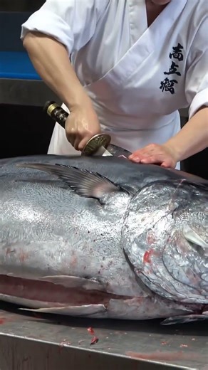 The Master’s Stroke: Precision Tuna Filleting #8k #animatedshorts