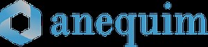 About Anequim | Remote Professional Services Provider