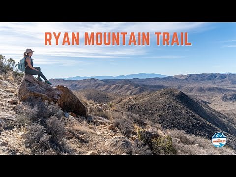 Hiking Ryan Mountain, the Most Popular Trail in Joshua Tree National Park | CA