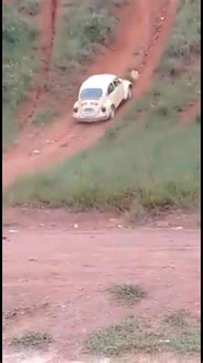 Woooooow! Look at what this Beetle did! 😮 #cars #automotive #carlovers #classiccar #oldcars #beetle | Rust is NOT a Crime