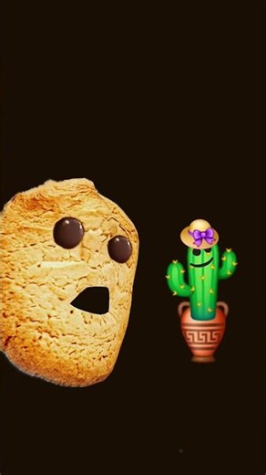 24 de março de 2026