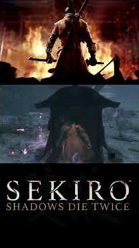 Sekiro & Giant Snake