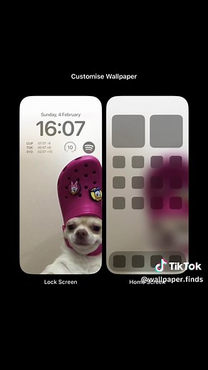 Best Funny Meme Wallpapers for Your Phone