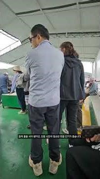 홍도 일주 유람선 관광 - 대한민국에서 가장 아름다운 섬, 홍도, #홍도유람선, #홍도, #홍도원추리,