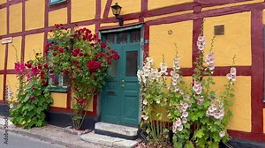 Hollyhocks (Alcea rosea) at houses in a small street in the idyllic downtown of Ystad, Scania, Sweden, Scandinavia, Europe
