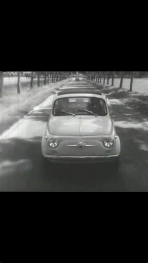MS MultiSolutions | 🚗✨ C’è chi guida una macchina… e chi guida un pezzo di storia. La Fiat 500 di questo vecchio spot, con Carlos Allamano al volante, non è... | Instagram