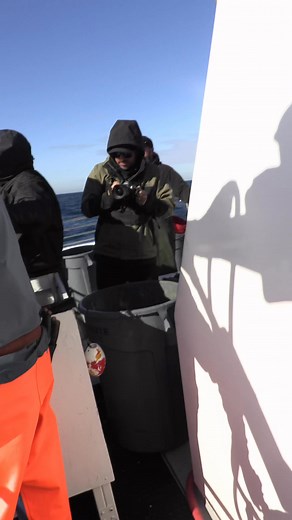 The Promar Ambush hoop net full of crab on the CalDawn2! 🦀 | Promar & Ahi USA