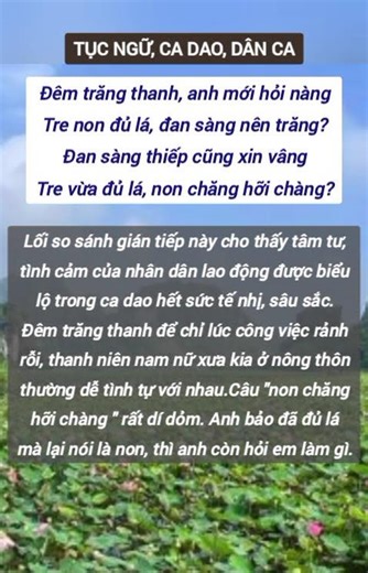 tế nhị mà sâu sắc, #phunu30 #phunu #lamdep