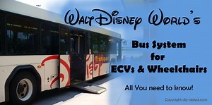 Using the Disney World Buses with a Wheelchair, Scooter, ECV