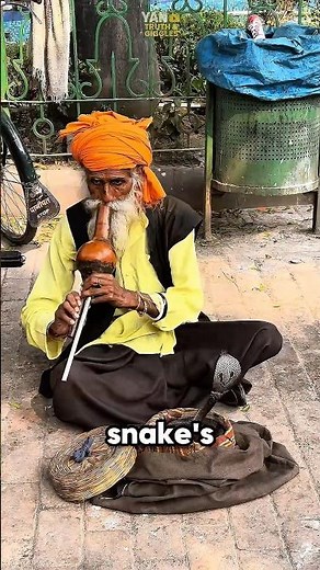 Snake charmer secret revealed ⁉️😱 #snake #animals