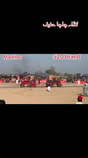 Exploring the 520 Brand: A Deep Dive into Moon Bhatti