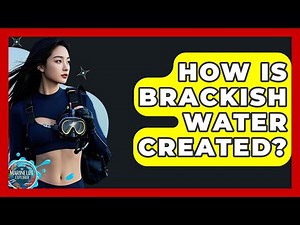 How Is Brackish Water Created? - The Marine Life Explorer