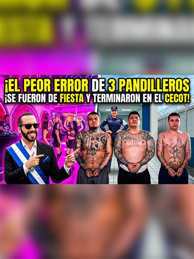 🔥 EL PEOR ERROR DE 3 PANDILLEROS 😱 ¡SE FUERON DE FIESTA Y TERMINARON EN EL CECOT! 🚨 #ultimahora🚨 #elsalvador #noticias #bukelepresidente #pandilleros