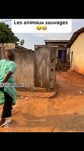 1.1M views · 10K reactions | Les animaux sauvages sont  | Liliana kiss | Facebook