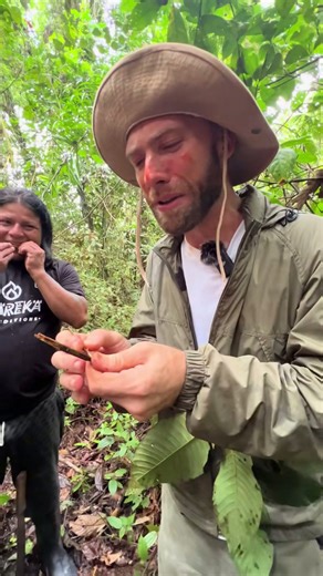 Lemon ants in the Amazon jungle