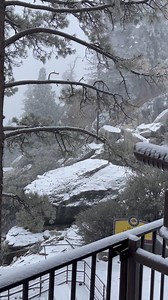 17K views · 825 reactions | While we are still closed, we hope you enjoy this video of fresh snow at the mountain top! We cannot wait to welcome back our guests when we reopen. Please continue to monitor our website for updates. #snowday #palmspringsaerialtramway #palmsprings | Palm Springs Aerial Tramway | Facebook