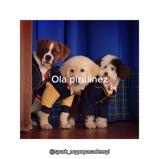 Hehehe haiii #fyp #fypシ゚ #fyp #fypシ゚ #fyp @TikTok #mypupacademy #fandom #spark #corazon #whiz #mypupacademyfandom #edit #draw #humanversion #🦴 @Netflix @Disney