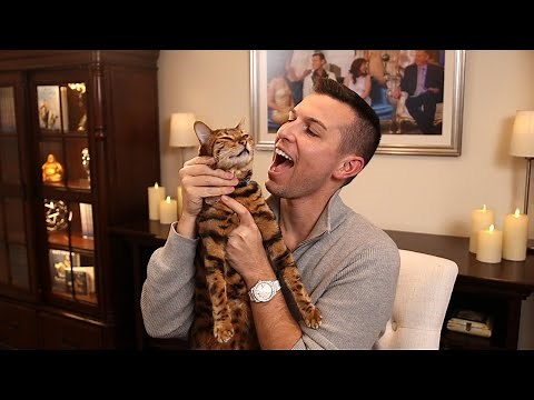 Do Pets Make it to Heaven ?? | Matt Fraser Psychic Medium