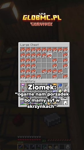 Explore the Best Minecraft Servers for Everyone