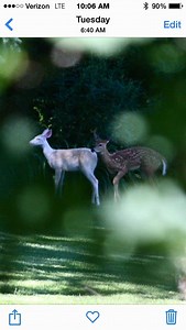 “There she blows…” A northwest clipper screaming out of Canada. 20 mph winds. –20°F air that cuts through you like a knife. And this home? It doesn’t even have an electric bill. Not one. Not in two years. Not in this kind of cold. Why? Because we built the entire home using the same checklist I’ve spent 45 years refining. Every layer. Every detail. Every piece of physics that most people never learn — all lined up the way they’re supposed to. Continuous insulation. Air sealing that doesn’t blink