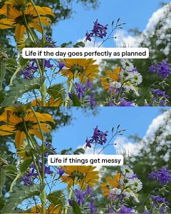 Seventh Generation on Reels