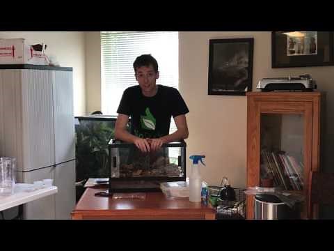 How to setup a Kenyan Sand Boa BioActive Terrarium. Self-Cleaning. Self- Maintaining.