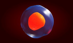 It Sure Looks Like the RNA World Hypothesis Is Wrong