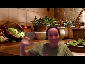 The Lemonade Crime--Chapter 11 Read Aloud by Mrs. Wells