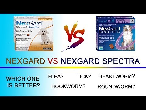 Nexgard vs Nexgard Spectra