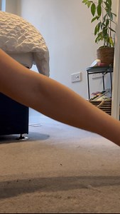 You won't believe how much hair is hiding in your carpet! Whether you are dealing with pesky pet hairs or your own unwanted strands, the Beldray Pet Plus Cleaning Blade can remove any embedded hair in seconds! Get your pet plus bundle now and save! | Beldray