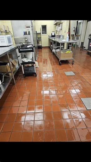 The Fresh Cleaning on TikTok