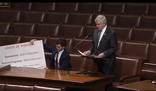 Wolves are natural born killers. The growth population of gray wolves through out the Western U.S. poses significant challenges for ranchers, farmers, and outdoorsmen’s alike. Delisting is the gray wolves is the only way that we are going to be able to allow our state fish and wildlife agencies to effectively manage wolf populations through following the science. | Congressman Cliff Bentz