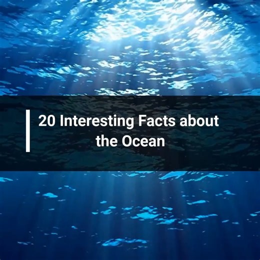 20 Interesting Facts about Ocean | Weird Facts