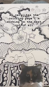 1.7K views · 69 reactions | This coloring book wasn't complete...