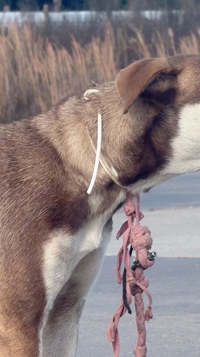 95K views · 2.1K reactions | UPDATE!!! YOU WILL NOT SUFFER ANY MORE...