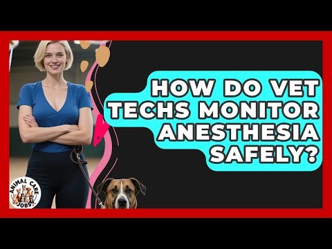 How Do Vet Techs Monitor Anesthesia Safely? - Animal Care Jobs