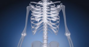 clip-1058044789-human-skeleton-bone-scan-joint-medical-screen