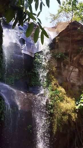 waterfall lalpaniya #trending #viral #viralvideo #trend #nature #shortvideo #trendingshorts